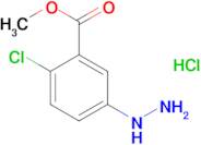 Methyl 2-chloro-5-hydrazinobenzoate hydrochloride