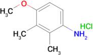 (4-methoxy-2,3-dimethylphenyl)amine hydrochloride