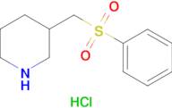 3-[(phenylsulfonyl)methyl]piperidine hydrochloride