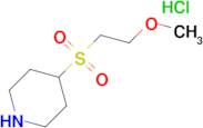 4-[(2-methoxyethyl)sulfonyl]piperidine hydrochloride