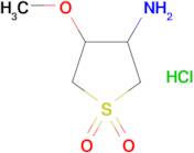 (4-methoxy-1,1-dioxidotetrahydro-3-thienyl)amine hydrochloride