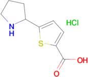 5-pyrrolidin-2-ylthiophene-2-carboxylic acid hydrochloride