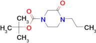 tert-Butyl 3-oxo-4-propylpiperazine-1-carboxylate