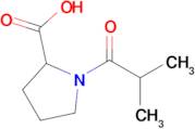 1-isobutyrylproline