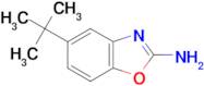 5-(tert-Butyl)benzo[d]oxazol-2-amine