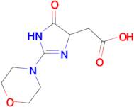 (2-morpholin-4-yl-4-oxo-4,5-dihydro-1H-imidazol-5-yl)acetic acid