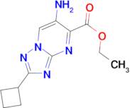 ethyl 6-amino-2-cyclobutyl[1,2,4]triazolo[1,5-a]pyrimidine-5-carboxylate