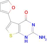 2-amino-5-(2-furyl)thieno[2,3-d]pyrimidin-4(3H)-one
