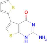 2-amino-5-(2-thienyl)thieno[2,3-d]pyrimidin-4(3H)-one