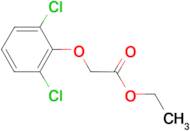 Ethyl 2-(2,6-dichloro-phenoxy)acetate