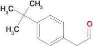 (4-tert-Butylphenyl)acetaldehyde