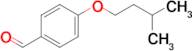 4-iso-Pentoxybenzaldehyde