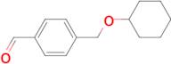 4-[(Cyclohexyloxy)methyl]benzaldehyde