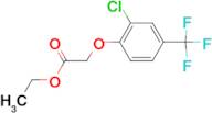 Ethyl 2-[2-chloro-4-(trifluoromethyl)-phenoxy]acetate