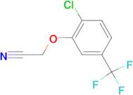 2-[2-Chloro-5-(trifluoromethyl)-phenoxy]acetonitrile