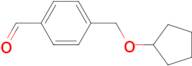 4-[(Cyclopentyloxy)methyl]benzaldehyde