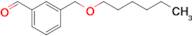 3-[(n-Hexyloxy)methyl]benzaldehyde