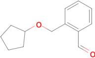 2-[(Cyclopentyloxy)methyl]benzaldehyde