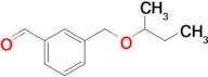 3-[(sec-Butyloxy)methyl]benzaldehyde