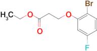 Ethyl 3-(2-bromo-5-fluoro-phenoxy)propanoate