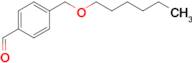 4-[(n-Hexyloxy)methyl]benzaldehyde