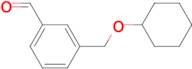 3-[(Cyclohexyloxy)methyl]benzaldehyde