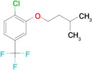 4-Chloro-3-iso-pentoxybenzotrifluoride