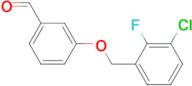 3-(3-Chloro-2-fluorobenzyloxy)benzaldehyde