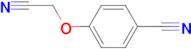 2-(4-Cyano-phenoxy)acetonitrile