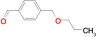 4-[(n-Propyloxy)methyl]benzaldehyde