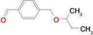 4-[(sec-Butyloxy)methyl]benzaldehyde