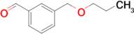 3-[(n-Propyloxy)methyl]benzaldehyde