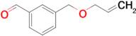 3-[(Allyloxy)methyl]benzaldehyde