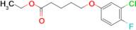 Ethyl 5-(3-chloro-4-fluoro-phenoxy)pentanoate