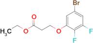 Ethyl 3-(3-bromo-5,6-difluoro-phenoxy)propanoate