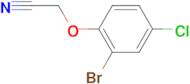 2-(2-Bromo-4-chloro-phenoxy)acetonitrile