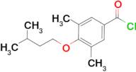 4-iso-Pentoxy-3,5-dimethylbenzoyl chloride