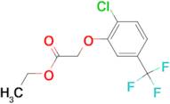 Ethyl 2-[2-chloro-5-(trifluoromethyl)-phenoxy]acetate