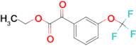 Ethyl 3-(trifluoromethoxy)benzoylformate