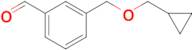 3-[(Cyclopropanemethoxy)methyl]benzaldehyde