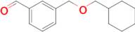 3-[(Cyclohexanemethoxy)methyl]benzaldehyde