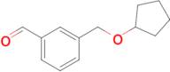 3-[(Cyclopentyloxy)methyl]benzaldehyde