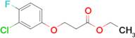 Ethyl 3-(3-chloro-4-fluoro-phenoxy)propanoate