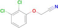 2-(2,3-Dichloro-phenoxy)acetonitrile