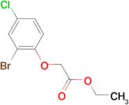 Ethyl 2-(2-bromo-4-chloro-phenoxy)acetate