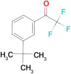 3'-tert-Butyl-2,2,2-trifluoroacetophenone