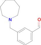 3-[(1-Homopiperidino)methyl]benzaldehyde