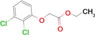 Ethyl 2-(2,3-dichloro-phenoxy)acetate