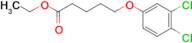 Ethyl 5-(3,4-dichloro-phenoxy)pentanoate