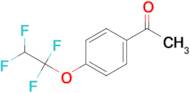1-[4-(1,1,2,2-Tetrafluoroethoxy)phenyl]ethanone
